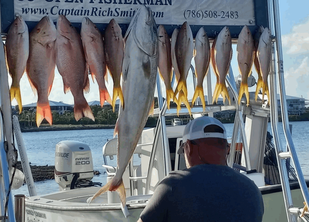 Man observing a catch of colorful reef fish displayed on a fishing charter boat in the Florida Keys.